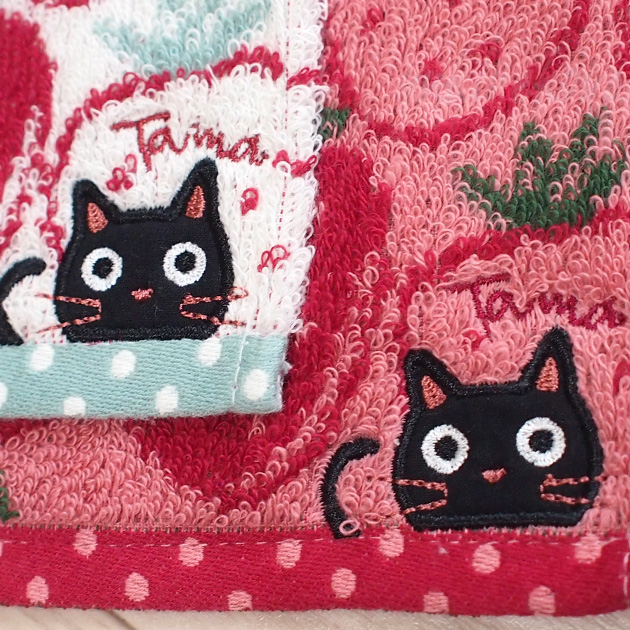 �L�̎h���イ�^�I���n���J�` �C�`�S���� �W���K�[�h�D�聚�m�A�t�@�~���[