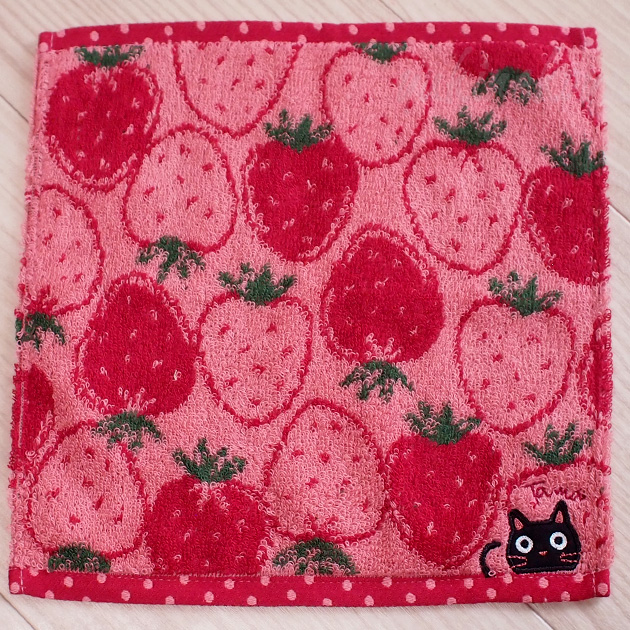 �L�̎h���イ�^�I���n���J�` �C�`�S���� �W���K�[�h�D�聚�m�A�t�@�~���[