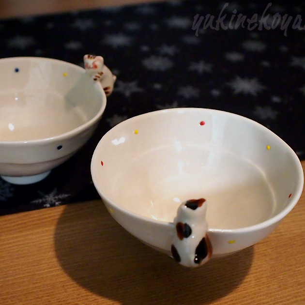 �L�c�ā@�L�悶�̂ڂ蒃�q