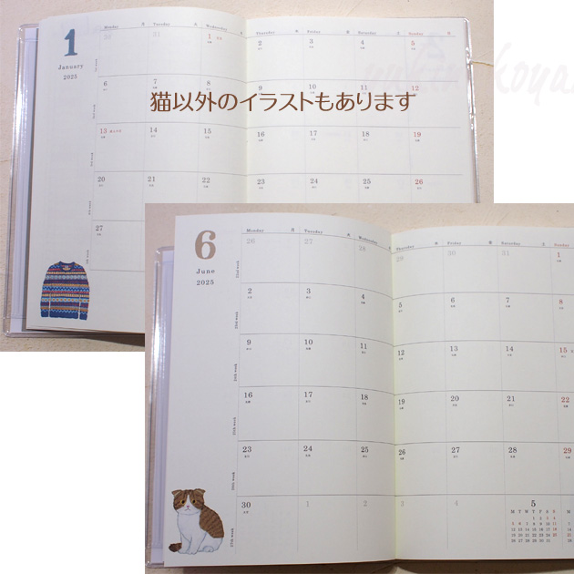 �X�P�W���[���� �L �Q�O�Q�T�N �Ē×S�� �a�U �\�t�g�J�o�[�X�P�W���[���� �O���[�e�B���O���C�t