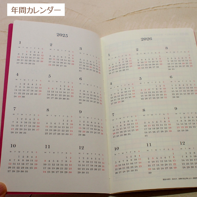 �X�P�W���[���� �L �Q�O�Q�T�N ���L�R�m���^�P B6 �X�����_�C�A���[ �O���[�e�B���O���C�t