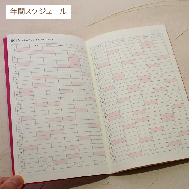 �X�P�W���[���� �L �Q�O�Q�T�N ���L�R�m���^�P B6 �X�����_�C�A���[ �O���[�e�B���O���C�t