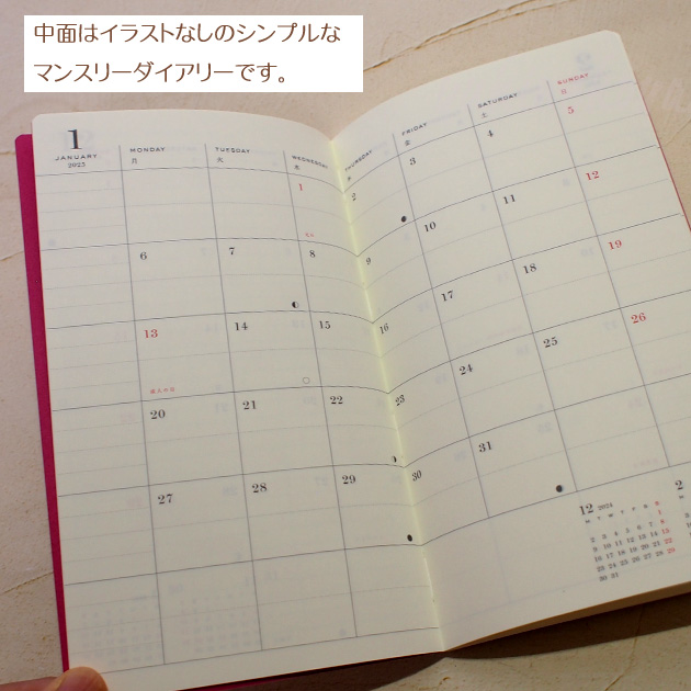 �X�P�W���[���� �L �Q�O�Q�T�N ���L�R�m���^�P B6 �X�����_�C�A���[ �O���[�e�B���O���C�t