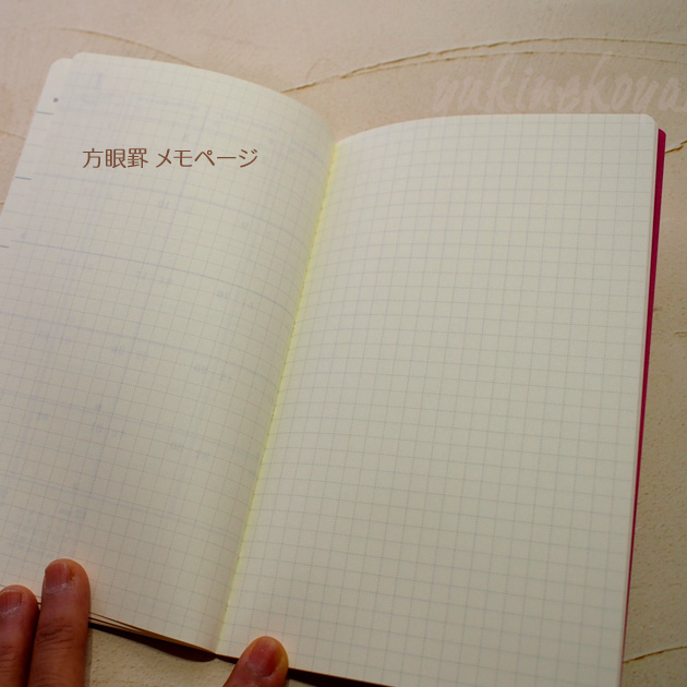 �X�P�W���[���� �L �Q�O�Q�T�N ���L�R�m���^�P B6 �X�����_�C�A���[ �O���[�e�B���O���C�t