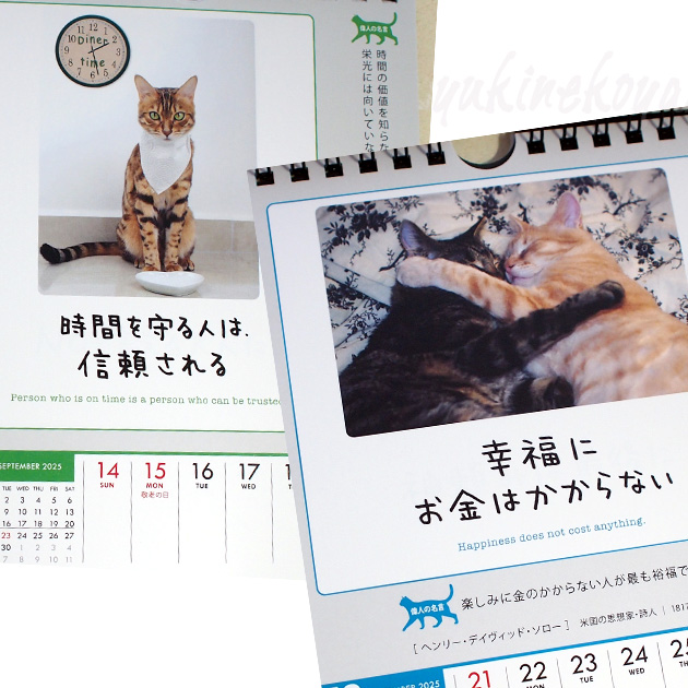 �Q�O�Q�T�N�@�L�̃J�����_�[�u�l���̓j�����Ƃ��Ȃ�I�v�i�T�߂���E���E�Ǌ|�����p�j