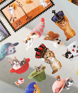 �L�V�[���@�R���N�V�����S