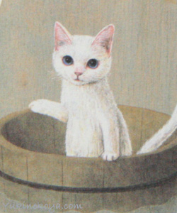 �L�|�X�g�J�[�h