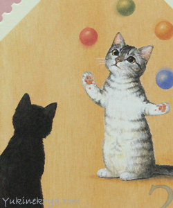 �L�|�X�g�J�[�h