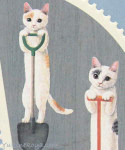 �L�|�X�g�J�[�h