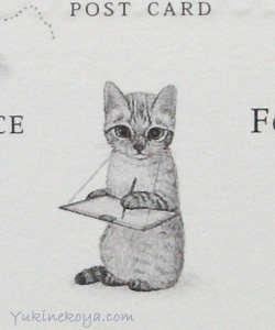 �L�|�X�g�J�[�h�@�P�[�L