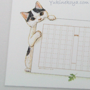 �~�j���e�p���P�[�X�@�L