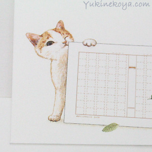 �~�j���e�p���P�[�X�@�L