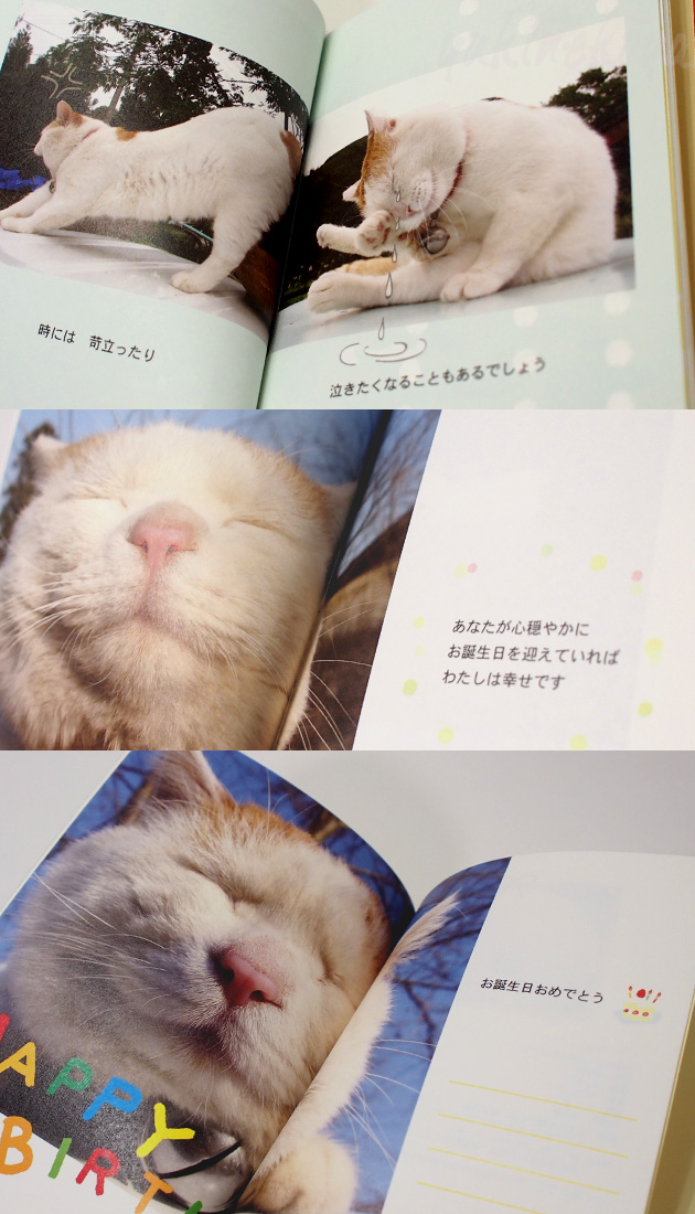 �y�w���X�e�C�t���z�����L�V���@���b�Z�[�W�u�b�N�@HAPPY�@BIRTHDAY