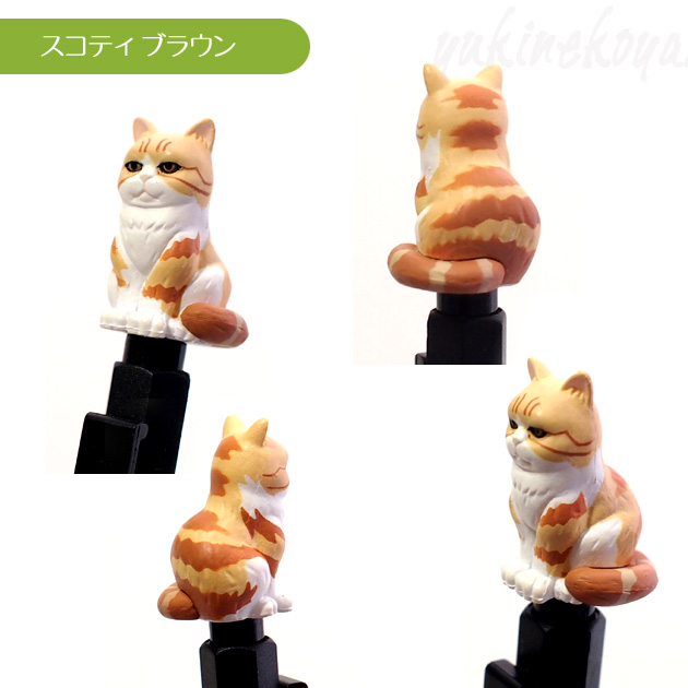 �yZIORA �W�I���z���A���ŃJ���C�C�L�̃{�[���y��