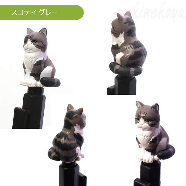 �yZIORA �W�I���z���A���ŃJ���C�C�L�̃{�[���y��