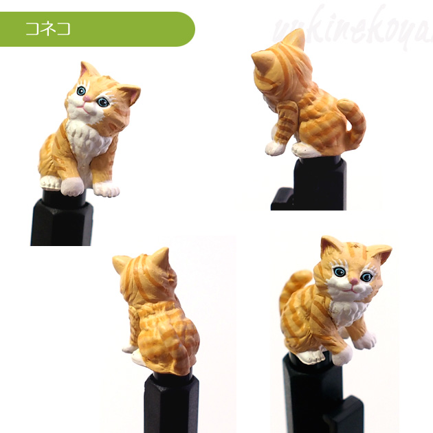 �yZIORA �W�I���z���A���ŃJ���C�C�L�̃{�[���y��