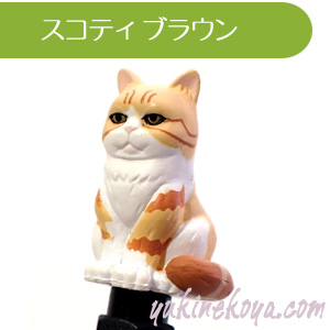 �yZIORA �W�I���z���A���ŃJ���C�C�L�̃{�[���y��