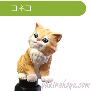 �yZIORA �W�I���z���A���ŃJ���C�C�L�̃{�[���y��