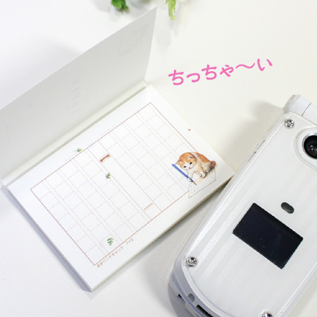 �~�j�~�j���e�p���@�L