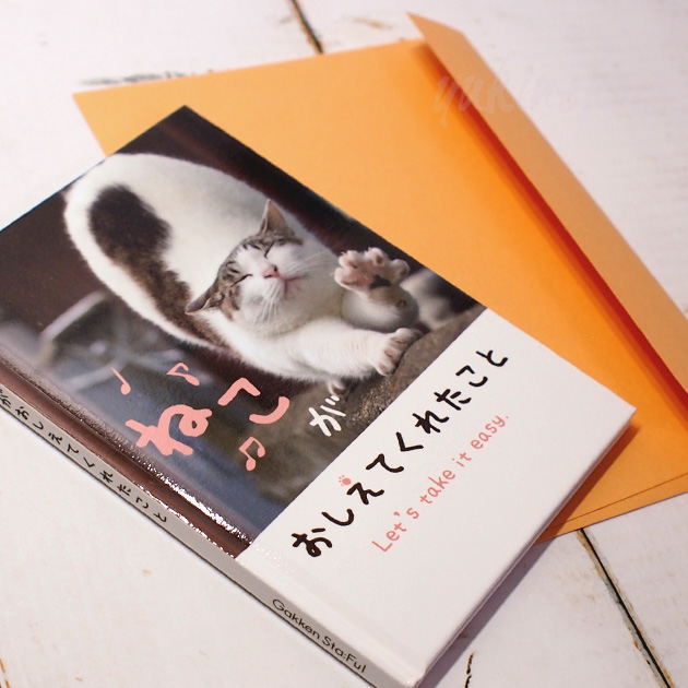 猫のメッセージブック ねこがおしえてくれたこと Let's take it easy