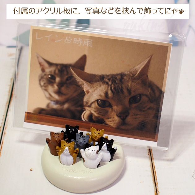 �L�̃t�H�g�t���[���@�`�A�L���b�g�V�C�yT's COLLECTION�E�e�B�[�Y�R���N�V�����z