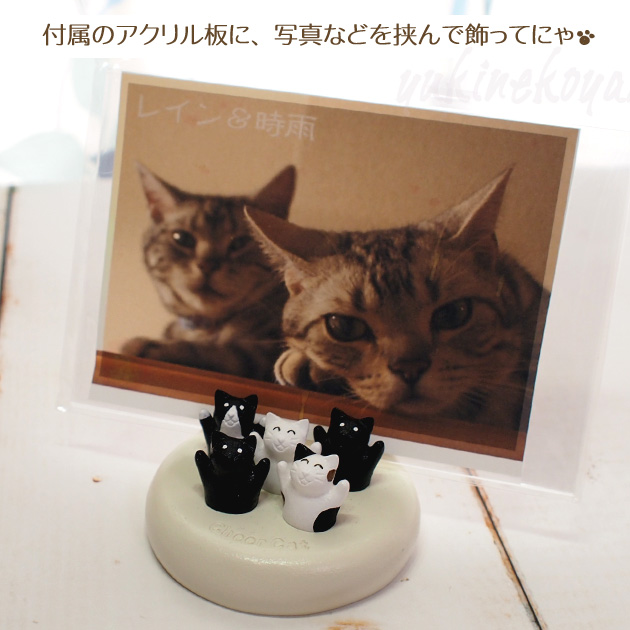 �L�̃t�H�g�t���[���@�`�A�L���b�g�T�C�yT's COLLECTION�E�e�B�[�Y�R���N�V�����z