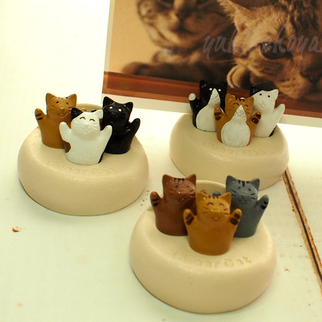 �L�̃J�[�h�X�^���h�@�`�A�L���b�g�R�C�yT's COLLECTION�E�e�B�[�Y�R���N�V�����z