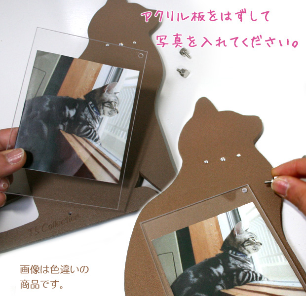 �L�̎ʐ^���ā@�V�F�[�h�t�H�g�t���[���@�O�єL�yT's COLLECTION�E�e�B�[�Y�R���N�V�����z