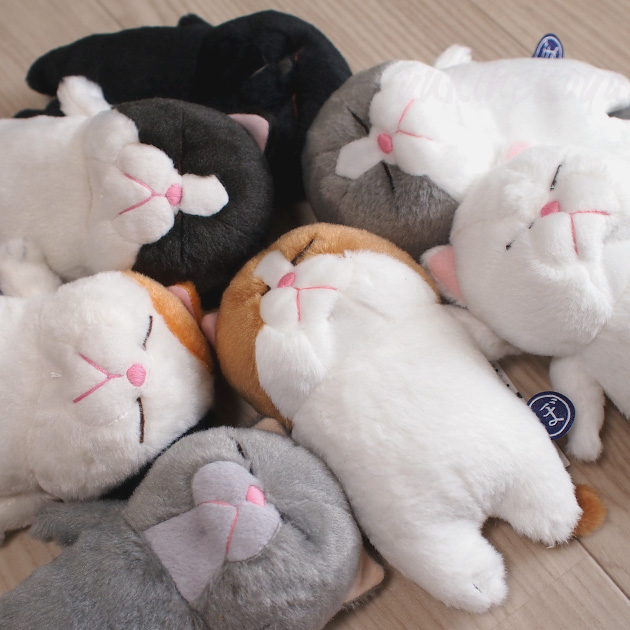 �L�̂ʂ������ �ڂ��˂� �_�L ����ڂ� ����ڂ� ����ڂ� ����ڂ� �˂��ڂ� �r�[���Y���� �����f�U�C��������