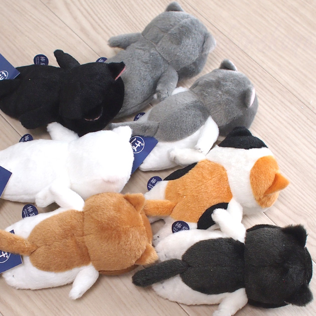 �L�̂ʂ������ �ڂ��˂� �_�L ����ڂ� ����ڂ� ����ڂ� ����ڂ� �˂��ڂ� �r�[���Y���� �����f�U�C��������