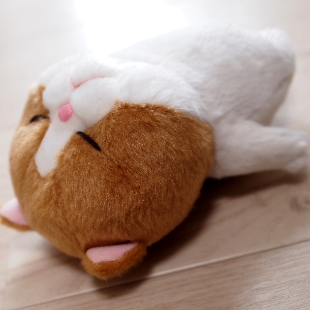 �L�̂ʂ������ �ڂ��˂� �_�L ����ڂ� ����ڂ� ����ڂ� ����ڂ� �˂��ڂ� �r�[���Y���� �����f�U�C��������