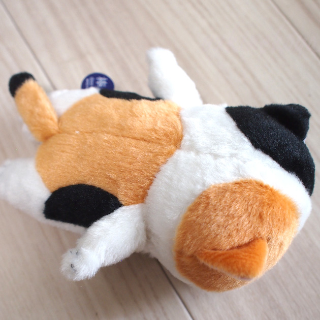 �L�̂ʂ������ �ڂ��˂� �_�L ����ڂ� ����ڂ� ����ڂ� ����ڂ� �˂��ڂ� �r�[���Y���� �����f�U�C��������