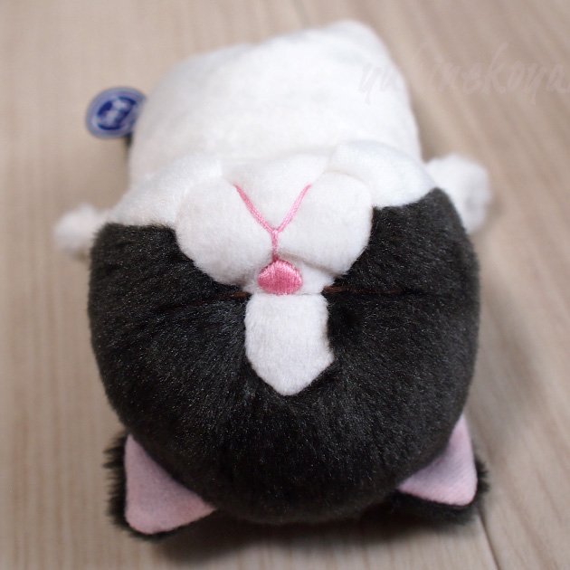 �L�̂ʂ������ �ڂ��˂� �_�L ����ڂ� ����ڂ� ����ڂ� ����ڂ� �˂��ڂ� �r�[���Y���� �����f�U�C��������