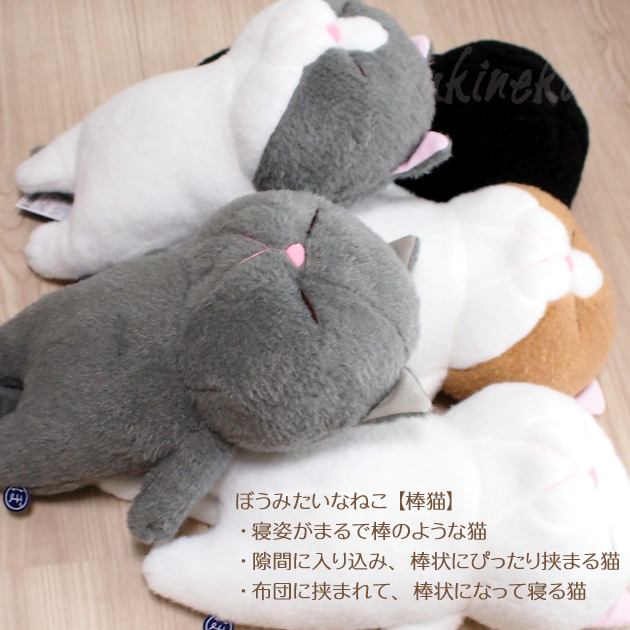 �L�̂ʂ������ �ڂ��݂����Ȃ˂� �_�L L�T�C�Y ����ڂ� ����ڂ� ����ڂ� ����ڂ� �˂��ڂ� �ӂ�ӂ��f�� �����f�U�C��������