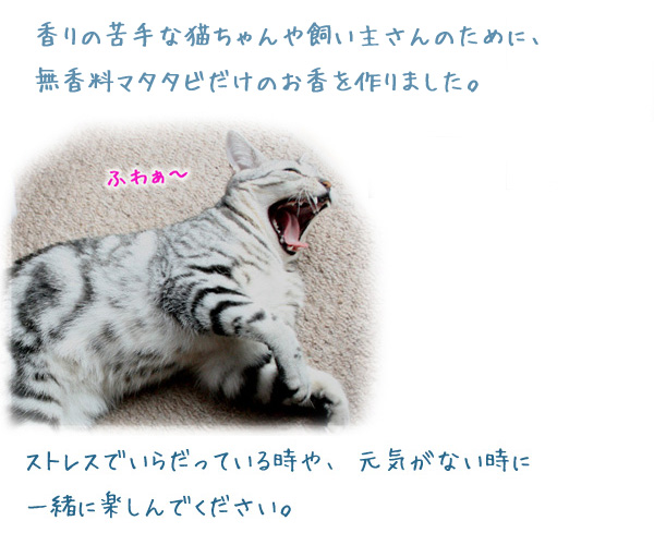 }^^r̂@LbgCZX CAT INCENSE@y[p[LjX^[i}^^rT{jyCAT,CAT,CAT! }[]h~[z