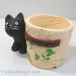 ���E�J���p�[�j���@�R���|�b�g�@���L�@������