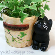 ���E�J���p�[�j���@�R���|�b�g�@���L