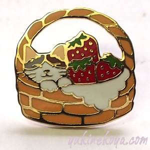 �L�s���Y�@�������o�X�P�b�g