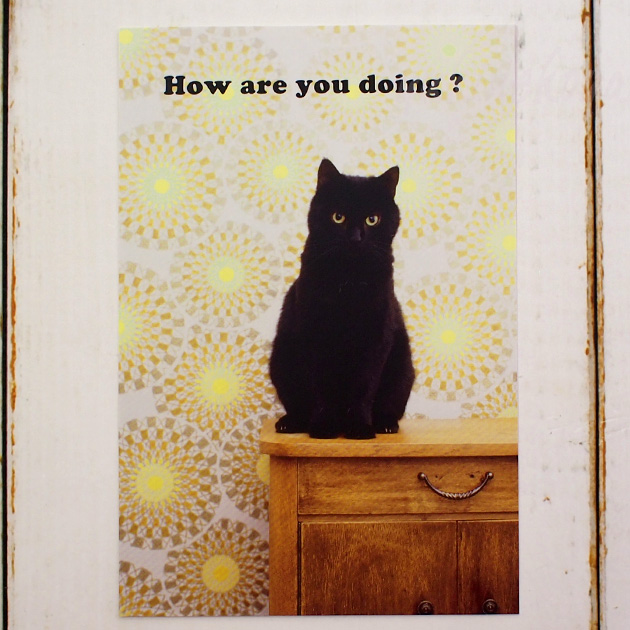 【猫のポストカード】黒猫　How are you doing?