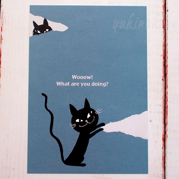【猫のポストカード】黒猫　Shinzi Katoh