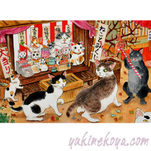 �Ս�f���@�L�|�X�g�J�[�h