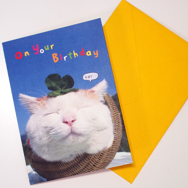 【学研ステイフル】かご猫シロのいい気分。猫のポップアップ・飛び出すグリーティングカード　On Your BIRTHDAY(誕生祝い)封筒付き