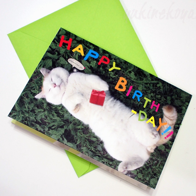 【学研ステイフル】かご猫シロのいい気分。猫のポップアップ・飛び出すグリーティングカード　Happy Birthday(誕生祝い)封筒付き