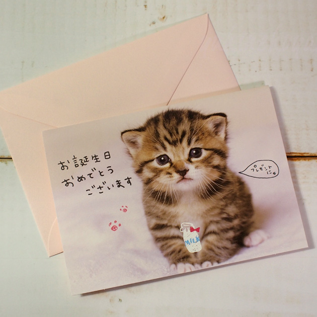 【学研ステイフル】子猫のバースデーカード　お誕生日おめでとう　封筒付き（グリーティングカード・誕生祝）