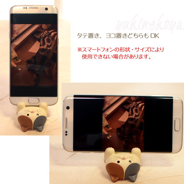 �L �X�}�z�X�^���h ����̔L����� ������X�}�z�X�^���h �~�P �g��